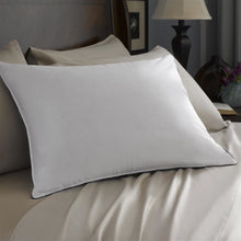 Load image into Gallery viewer, Ritz-Carlton Double Down Surround Pillow Set (2 Standard Pillows)