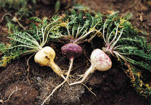 Load image into Gallery viewer, Maca Enhancer Herbal Brown Pills