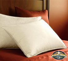 Load image into Gallery viewer, Eurofeather Down Pillow - Bed Pillow Down Pillow European Pillow - Plush